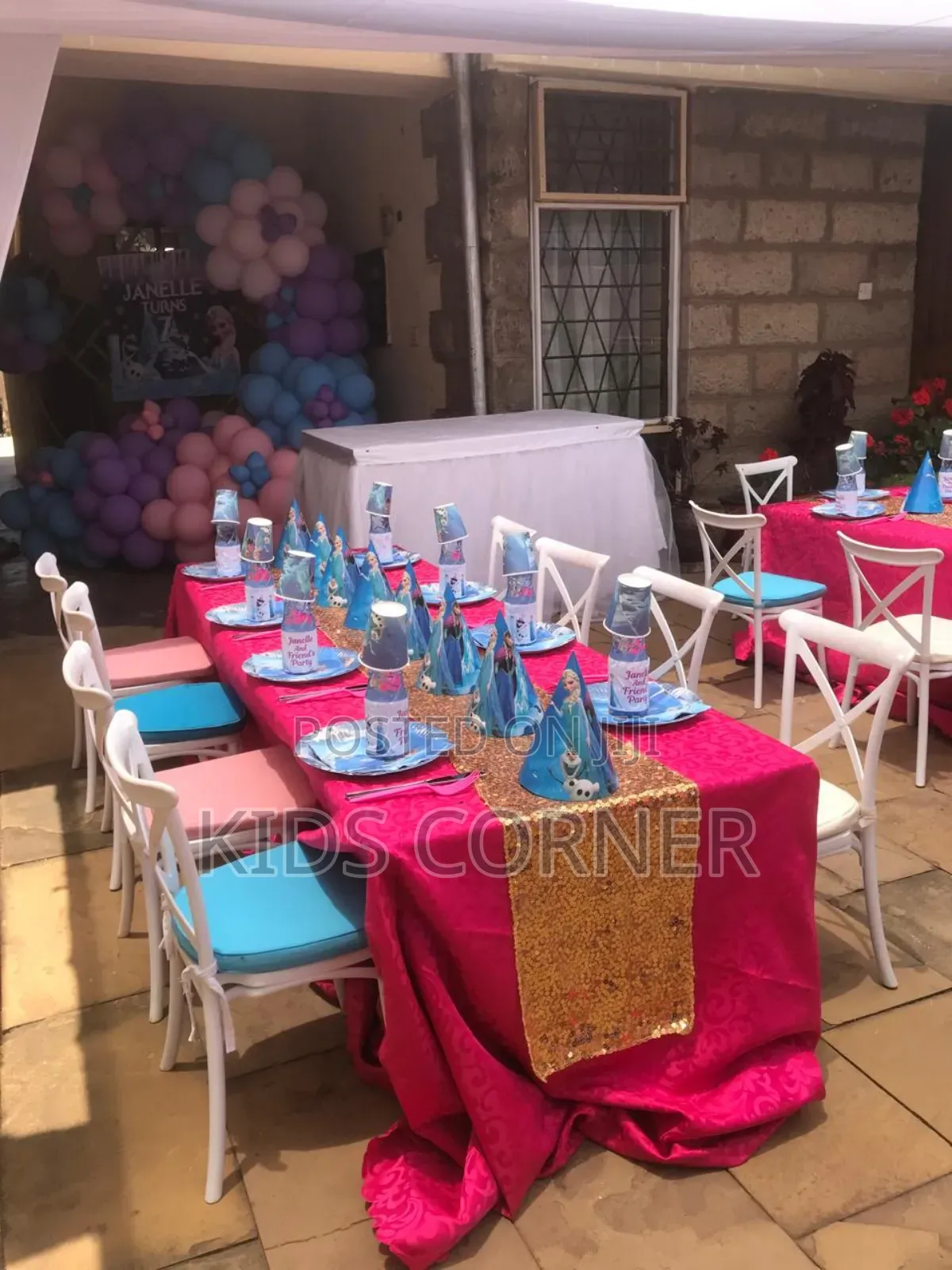 Birthday Decorations Girls Frozen Themes