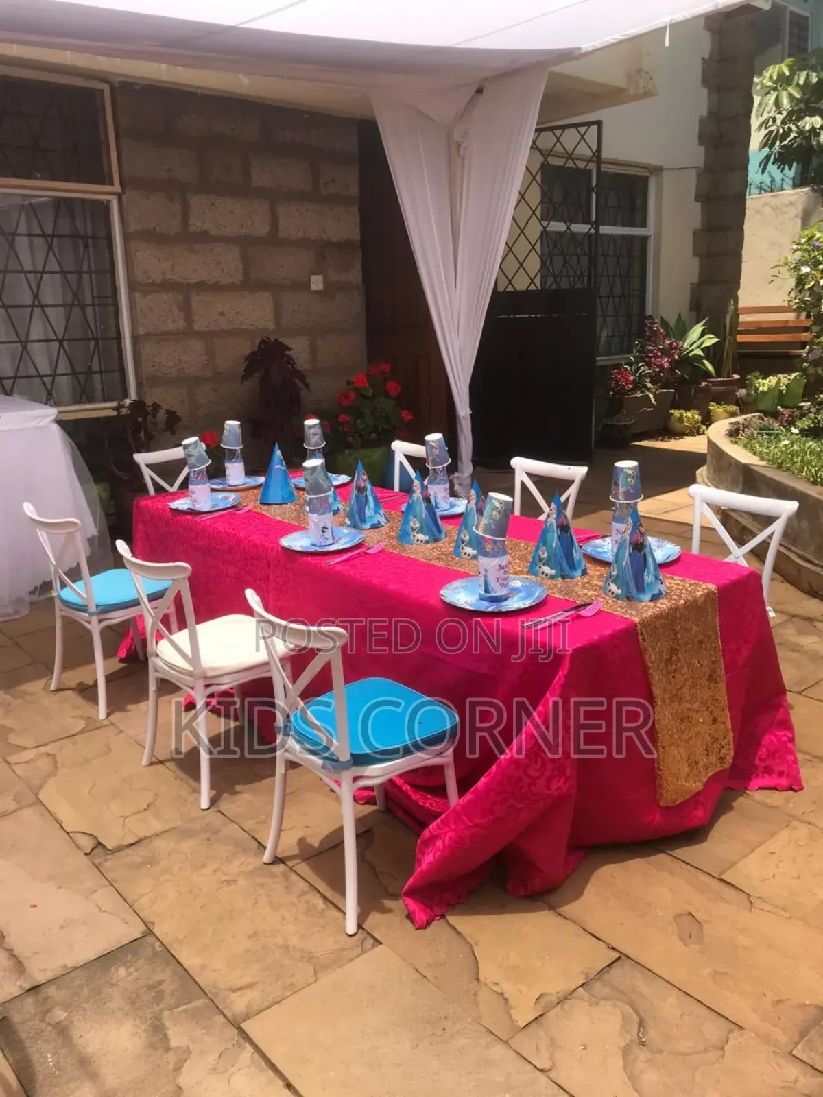 Birthday Decorations Girls Frozen Themes