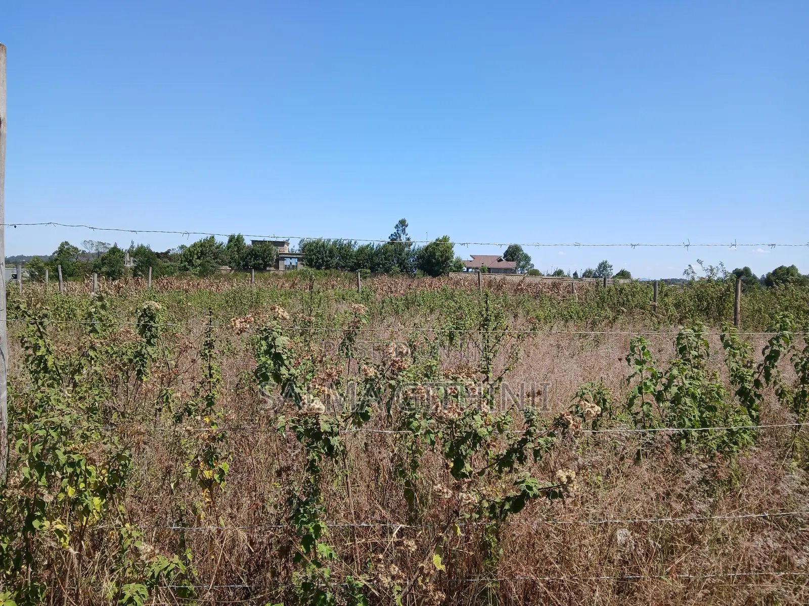 Prime 50 by 100ft Plot Fr Sale in Kikuyu,Rosegate in Karai Land & Plots for Sale, Salma