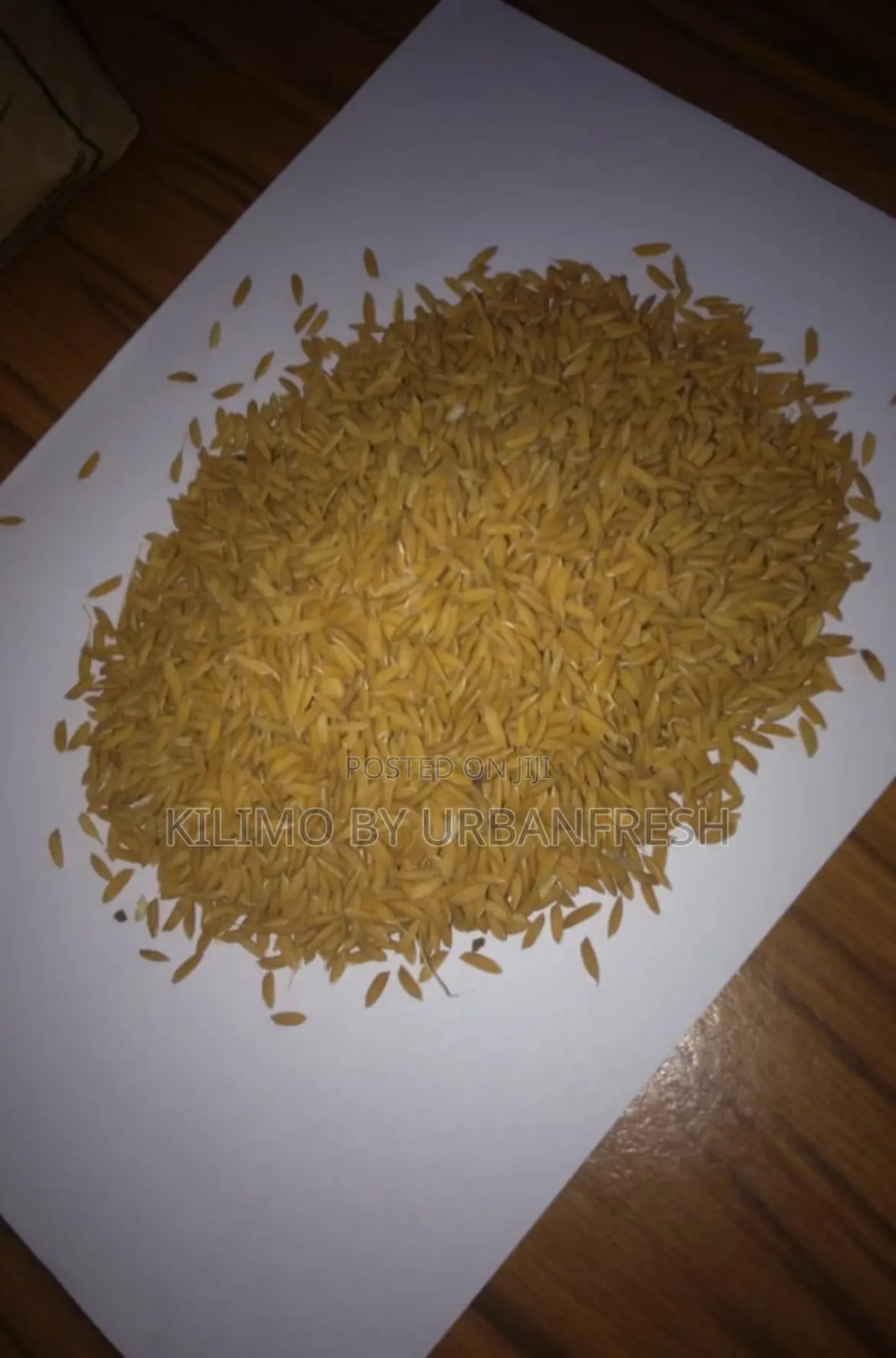 Nerica 1 / 4 / 10 / 11. Rice Seeds for Planting 10 Kgs.