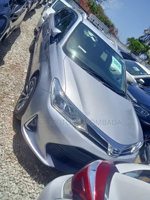Toyota Corolla Fielder 2018 Silver