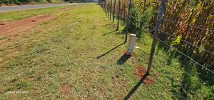 Commercial Plot Touching Houghway for Sale Eldoret Chepkanga - thumbnail 2