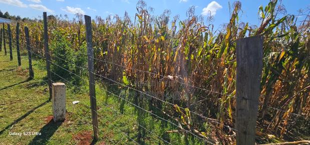 Commercial Plot Touching Houghway for Sale Eldoret Chepkanga - thumbnail 3