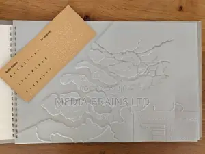 Braille /Tactile Translation and Printing