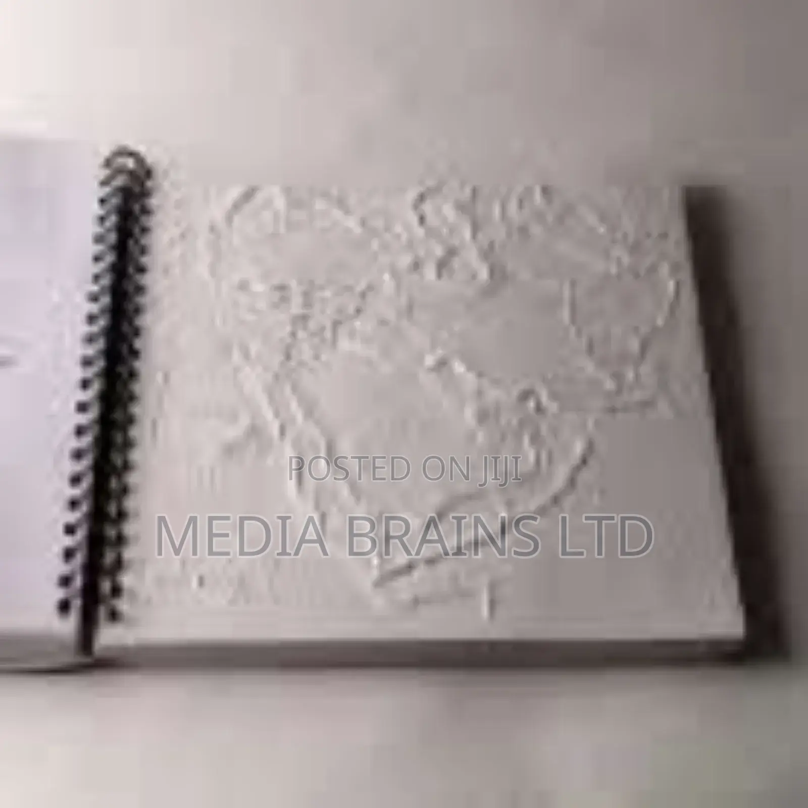 Braille /Tactile Translation and Printing