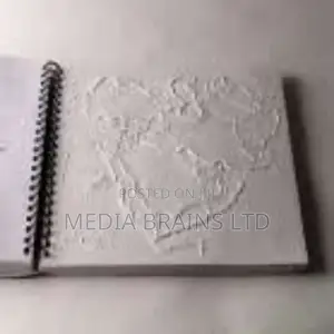 Braille /Tactile Translation and Printing