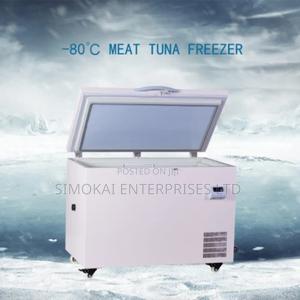 Solar Freezer BD/BC 308 Litres - thumbnail 2