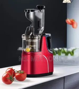 Electric Slow Juicer