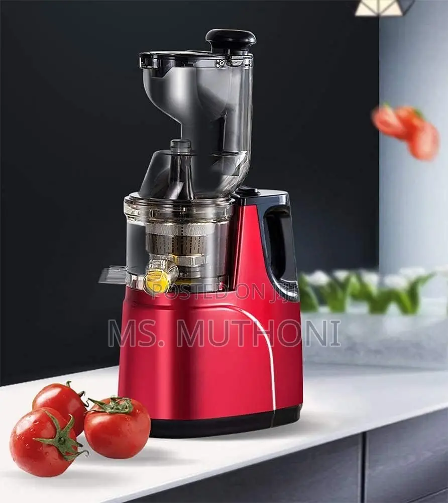 Electric Slow Juicer