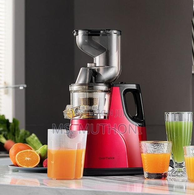 Electric Slow Juicer - main view