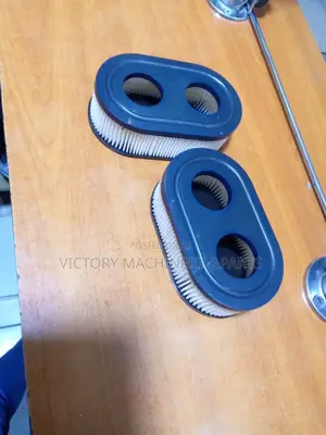 Lawn Mower Air Cleaner