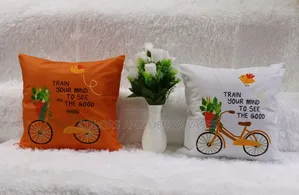 Positive Vibe Pillows Available