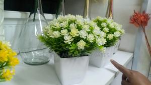 White Pretty Bonsai - thumbnail 2