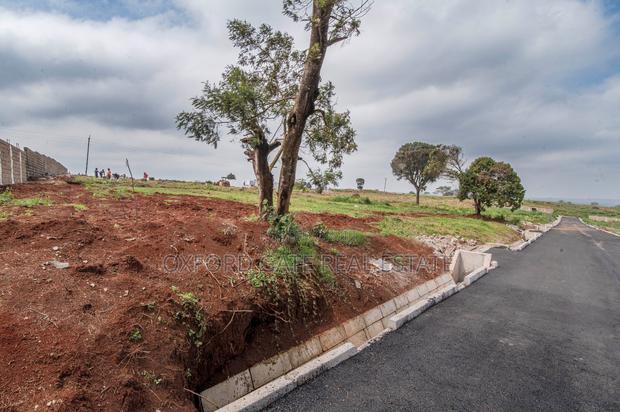 Lease Hold - thumbnail 19