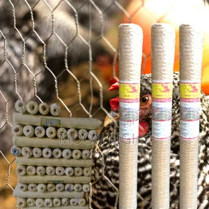 Chicken Wire, Chicken Mesh 3ft