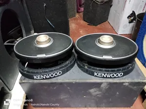 Kenwood Horn Speakers