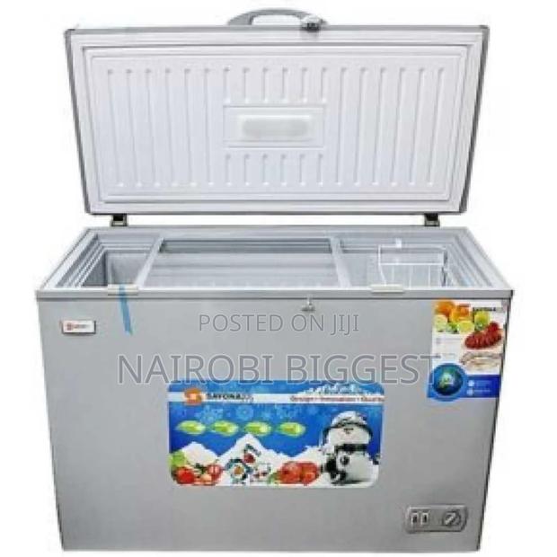 Premier 250litres BSST Freezer - main view