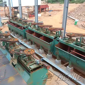 Customized Froth Flotation Mineral Processing Line