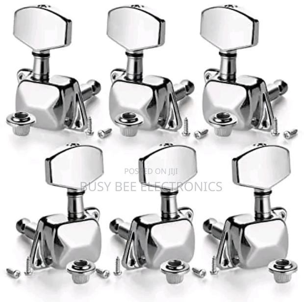 Acoustic Guitar Tuning Pegs - main view