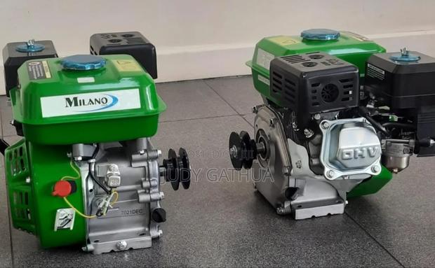 Garden Engine 7.5hp - main view