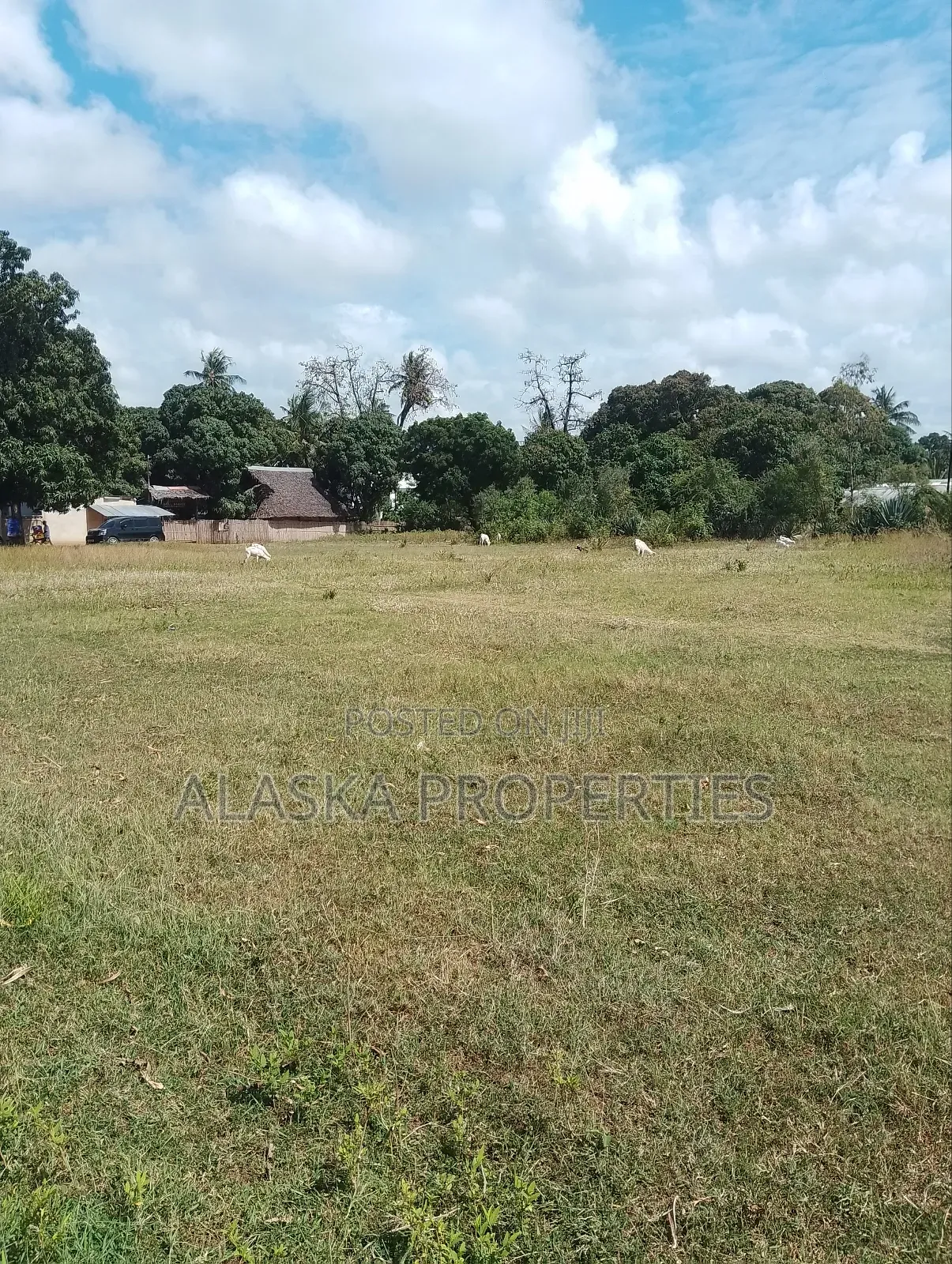 1/8 Acre Plot for Sale in Utange