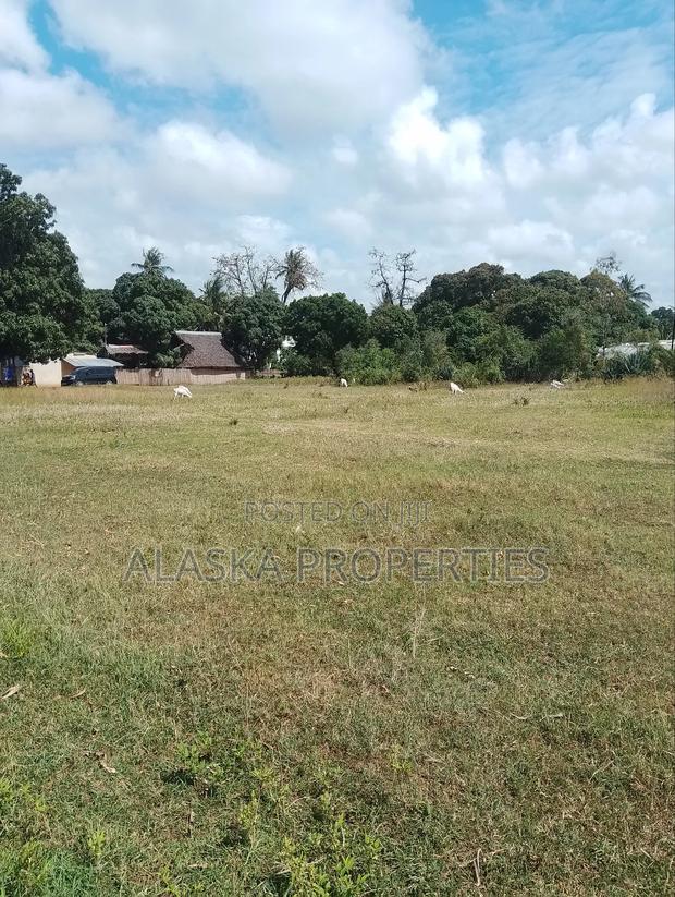 1/8 Acre Plot for Sale in Utange - thumbnail 8