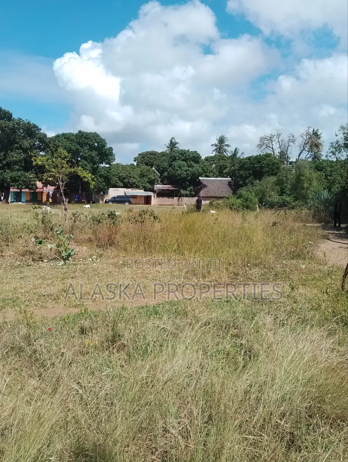 1/8 Acre Plot for Sale in Utange