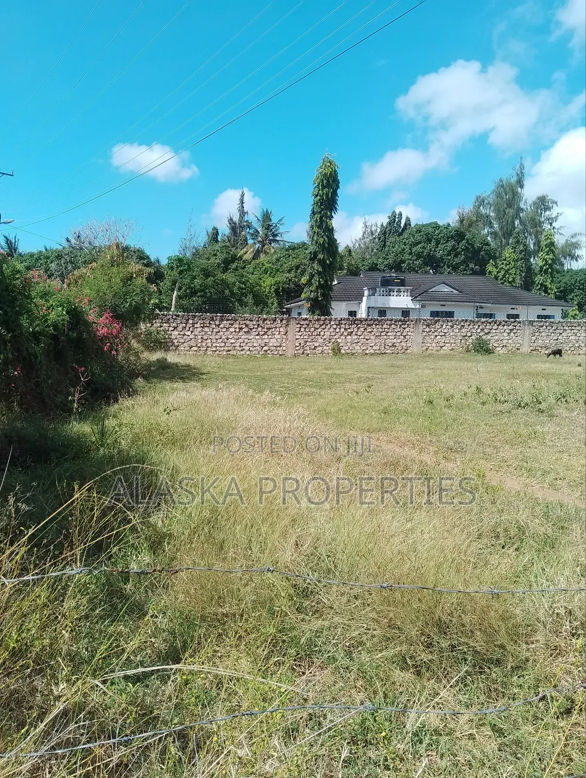 1/8 Acre Plot for Sale in Utange