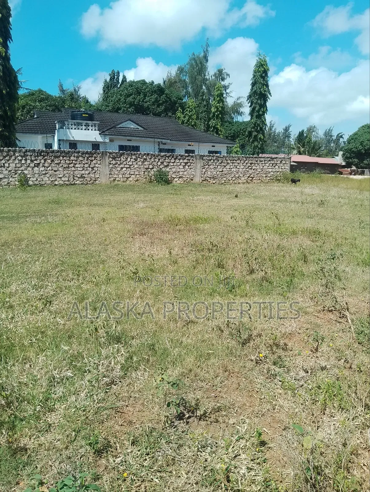 1/8 Acre Plot for Sale in Utange