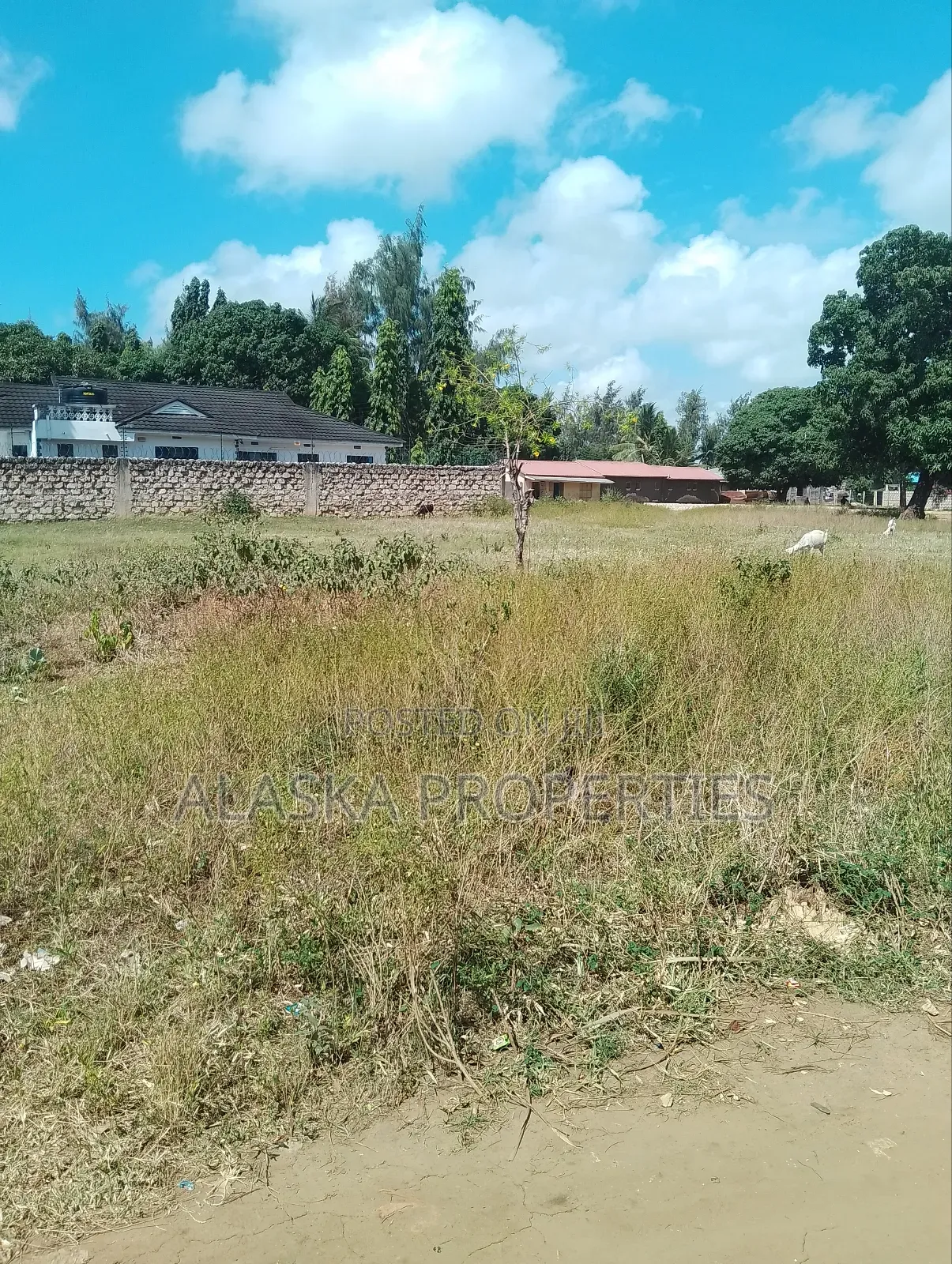 1/8 Acre Plot for Sale in Utange