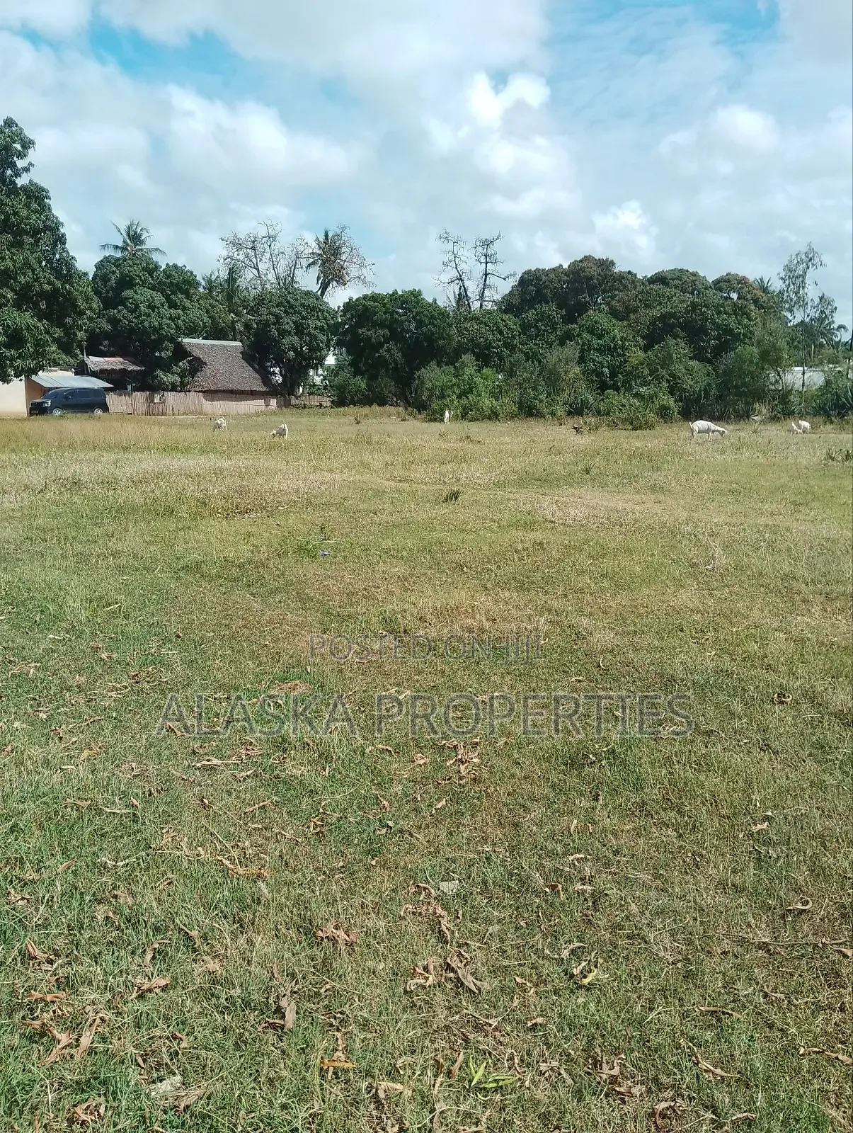 1/8 Acre Plot for Sale in Utange