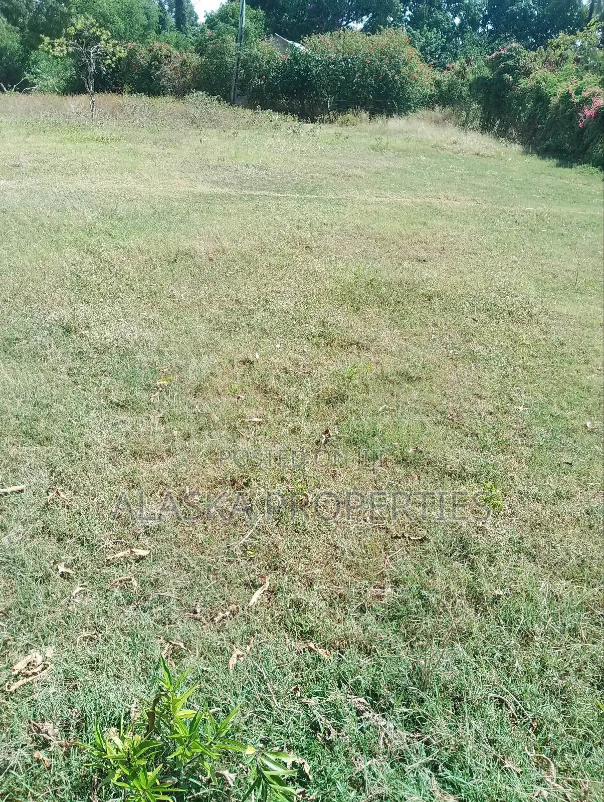 1/8 Acre Plot for Sale in Utange