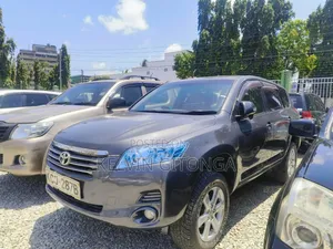Toyota Vanguard 2009 Matt Black