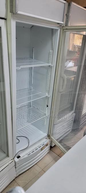 Commercial Fridge 450l - main view