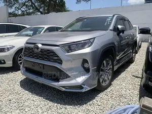 Toyota RAV4 LE FWD 2019 Silver