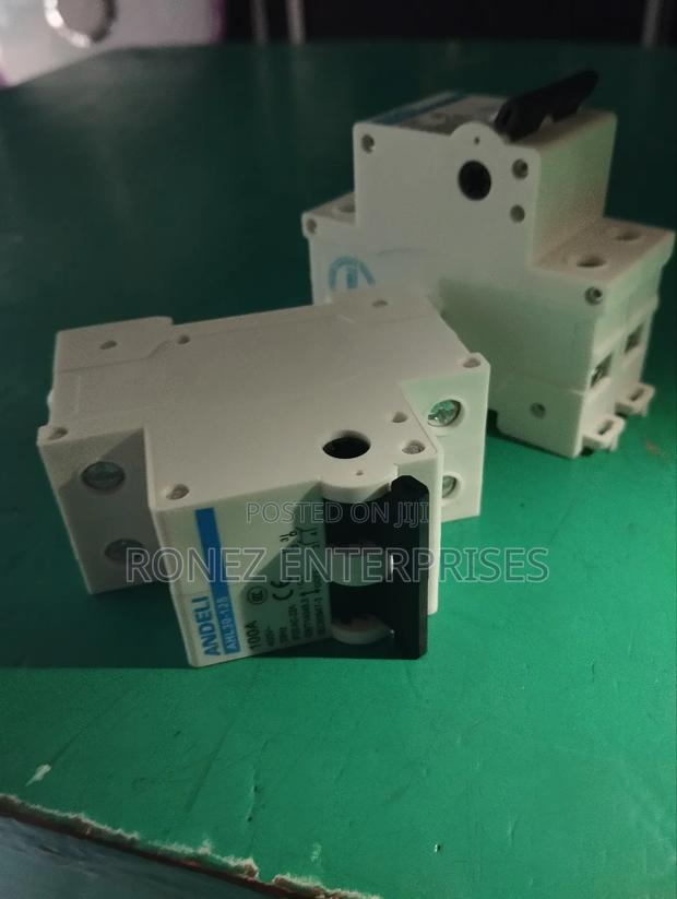 Double Pole 100 Amps - thumbnail 2