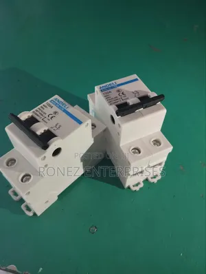 Double Pole 100 Amps