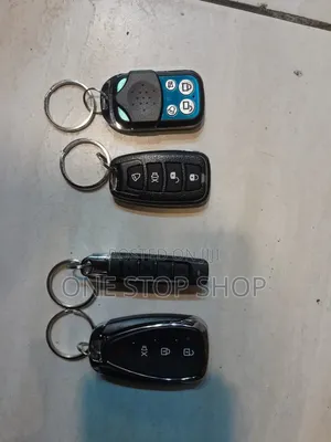 Different Unique Car Alarm Key Without Cut Out