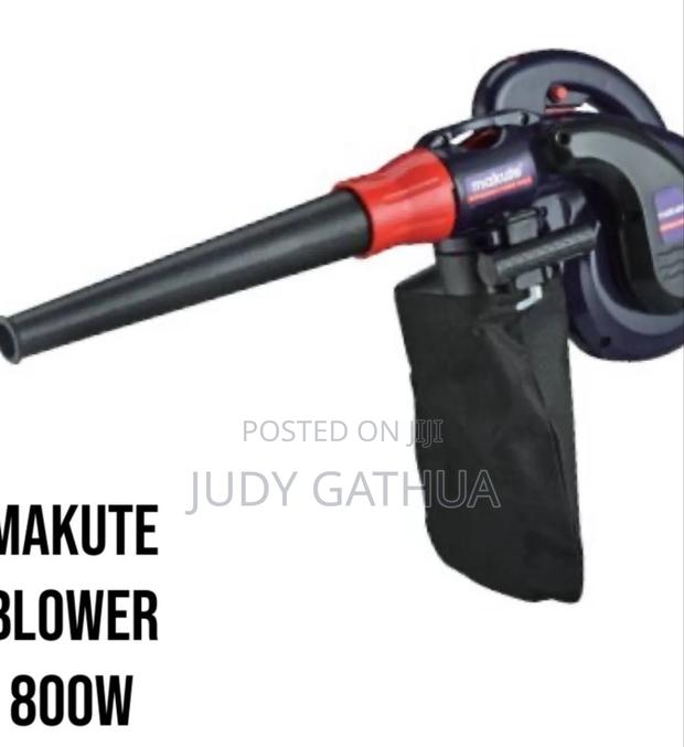 Big Blower 800watt - main view