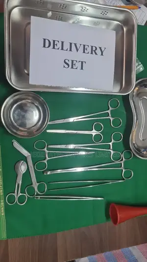 Delivery Set ( Stainless Steel