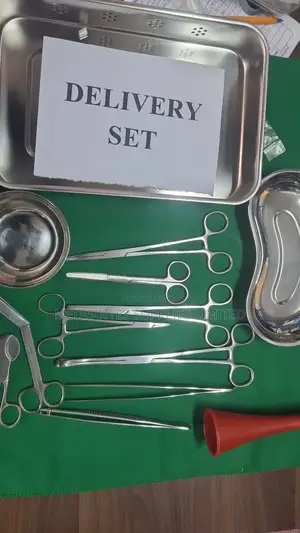 Delivery Set ( Stainless Steel