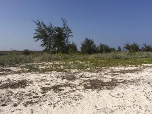 2.5 Acres Land at Mayungu in Watamu