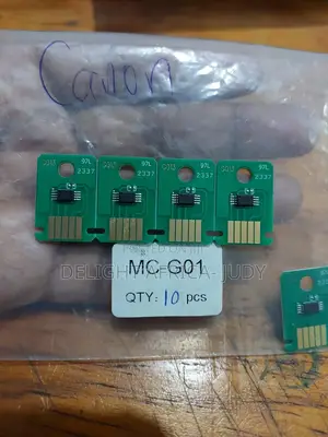 McG01 Maintenance Chip