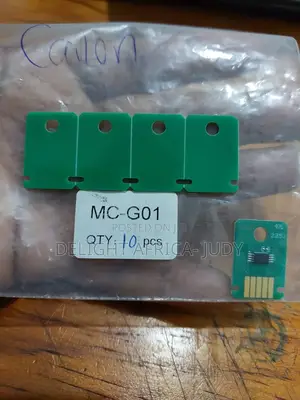 McG01 Maintenance Chip
