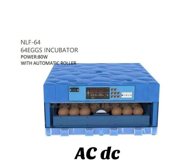 Automatic Incubator - main view