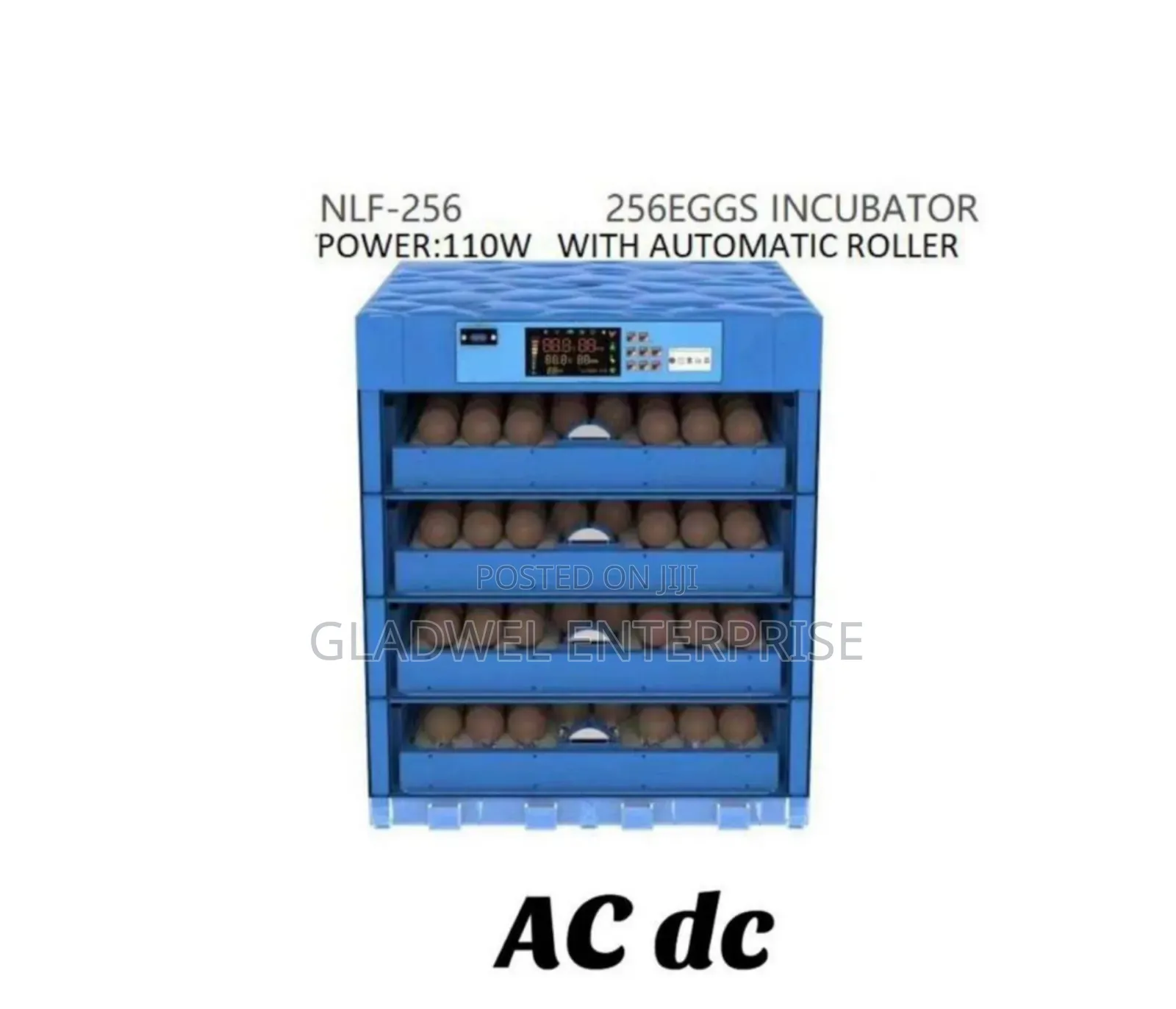 Eggs Incubator