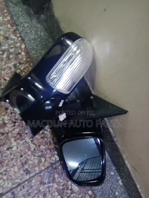 Nissan Elgrand Sidemirror