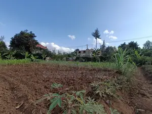 1/2 Acre Plot for Sale in Ghorofani, Kasarani