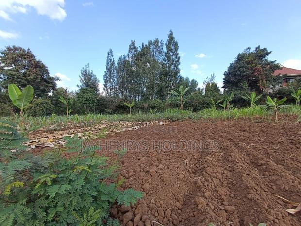 1/2 Acre Plot for Sale in Ghorofani, Kasarani - thumbnail 6