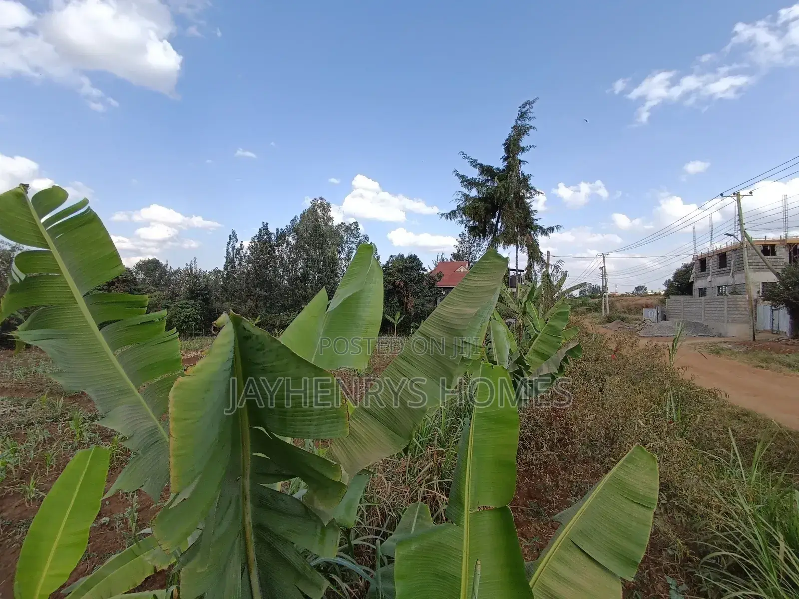 1/2 Acre Plot for Sale in Ghorofani, Kasarani